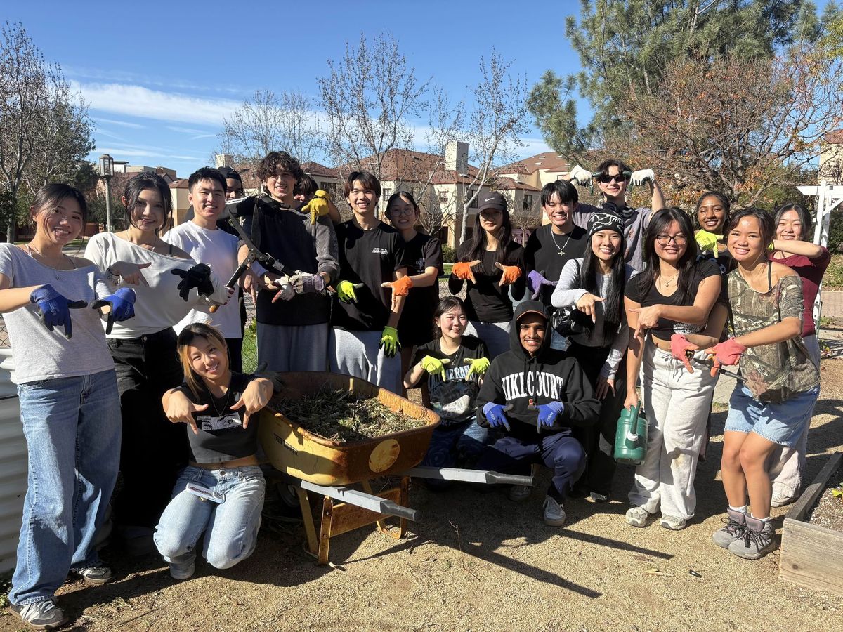 Beach Cleanup photo
