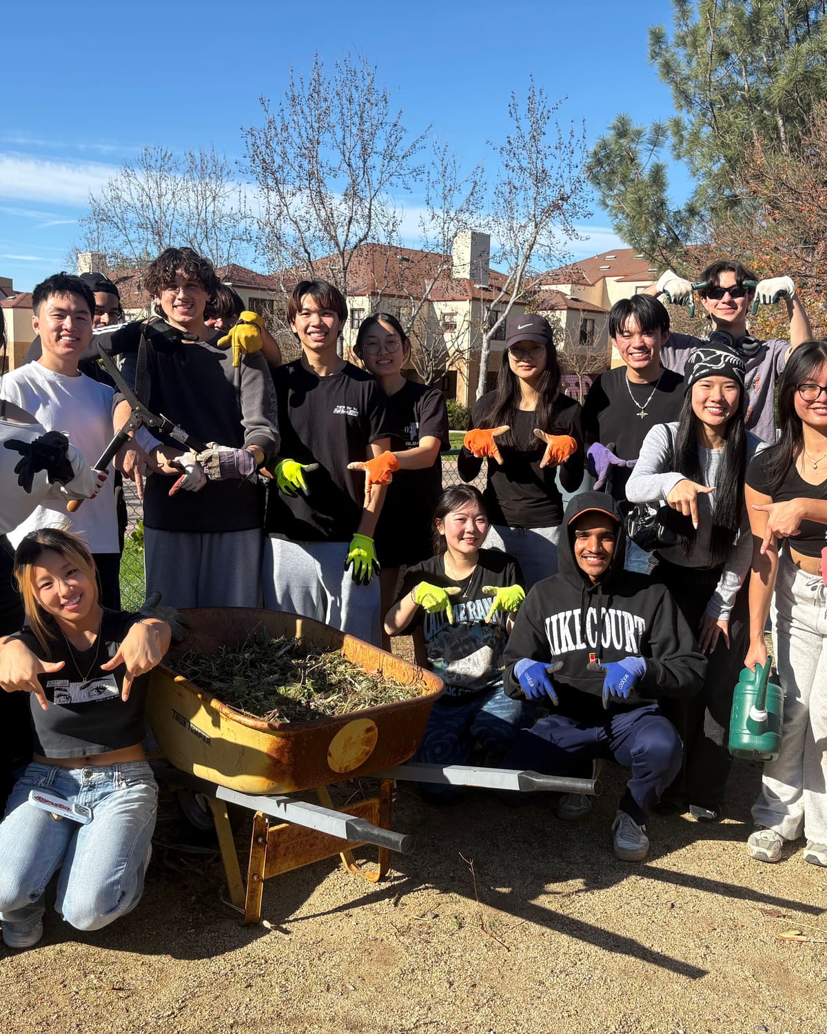 Service, Pi Delta